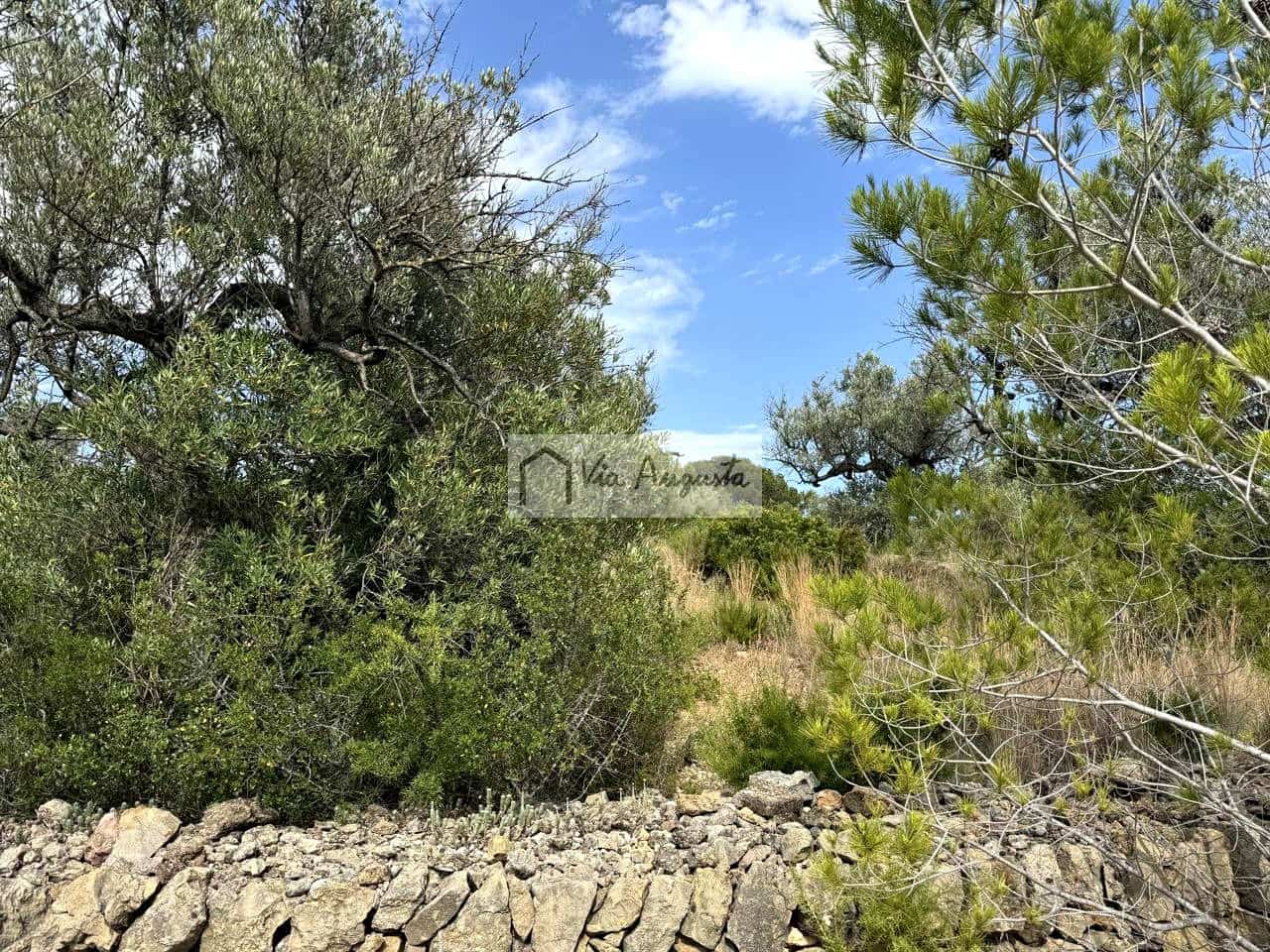 Undeveloped Land for sale in El Perello - € 8,500 (Ref: 9904957)