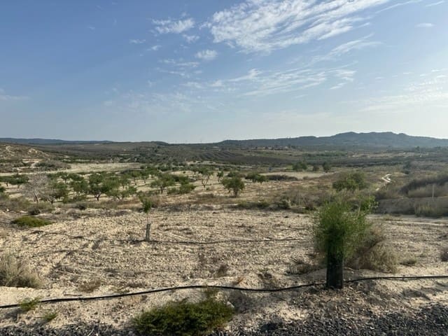 Bauplatz zu verkaufen in Torremendo, Orihuela - 175.000 € (Ref: 10088051)