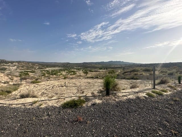 Bauplatz zu verkaufen in Torremendo - 175.000 € (Ref: 10088051)