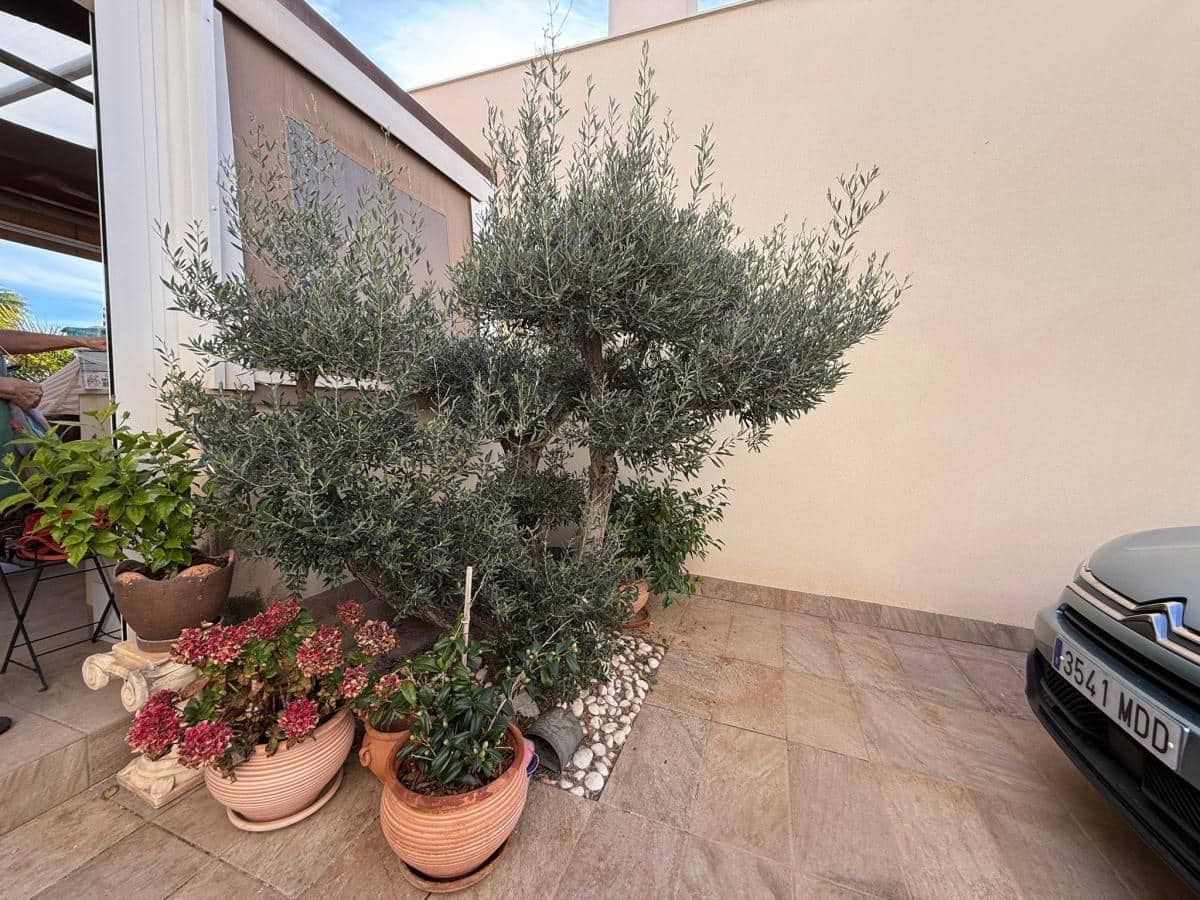 3 sypialnia Willa na sprzedaż w Los Montesinos z basenem - 359 900 € (Ref: 10088076)