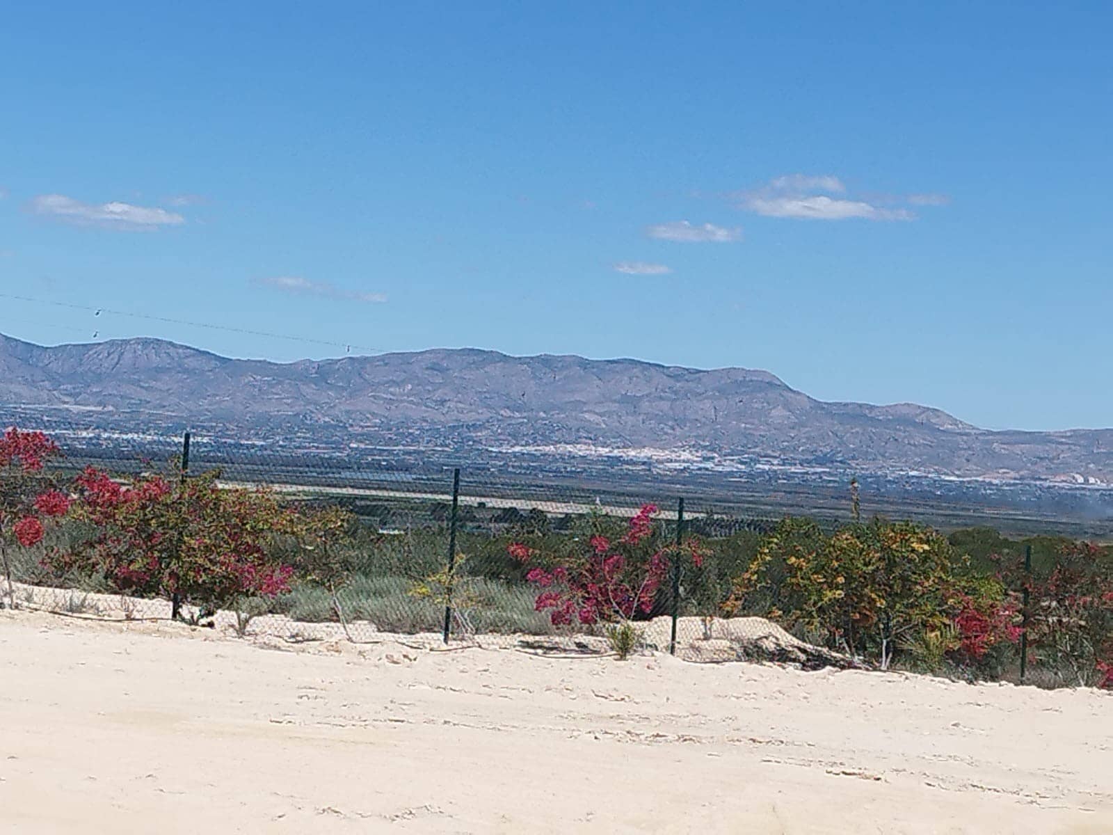 Terreno para Construção para venda em San Fulgencio - 185 000 € (Ref: 10088203)