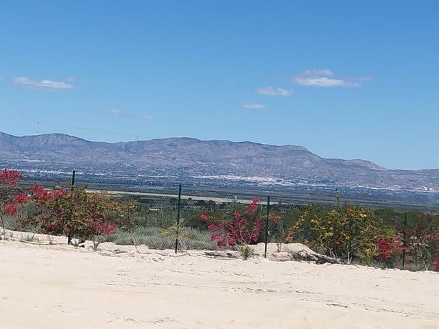 Terreno para Construção para venda em San Fulgencio - 185 000 € (Ref: 10088203)