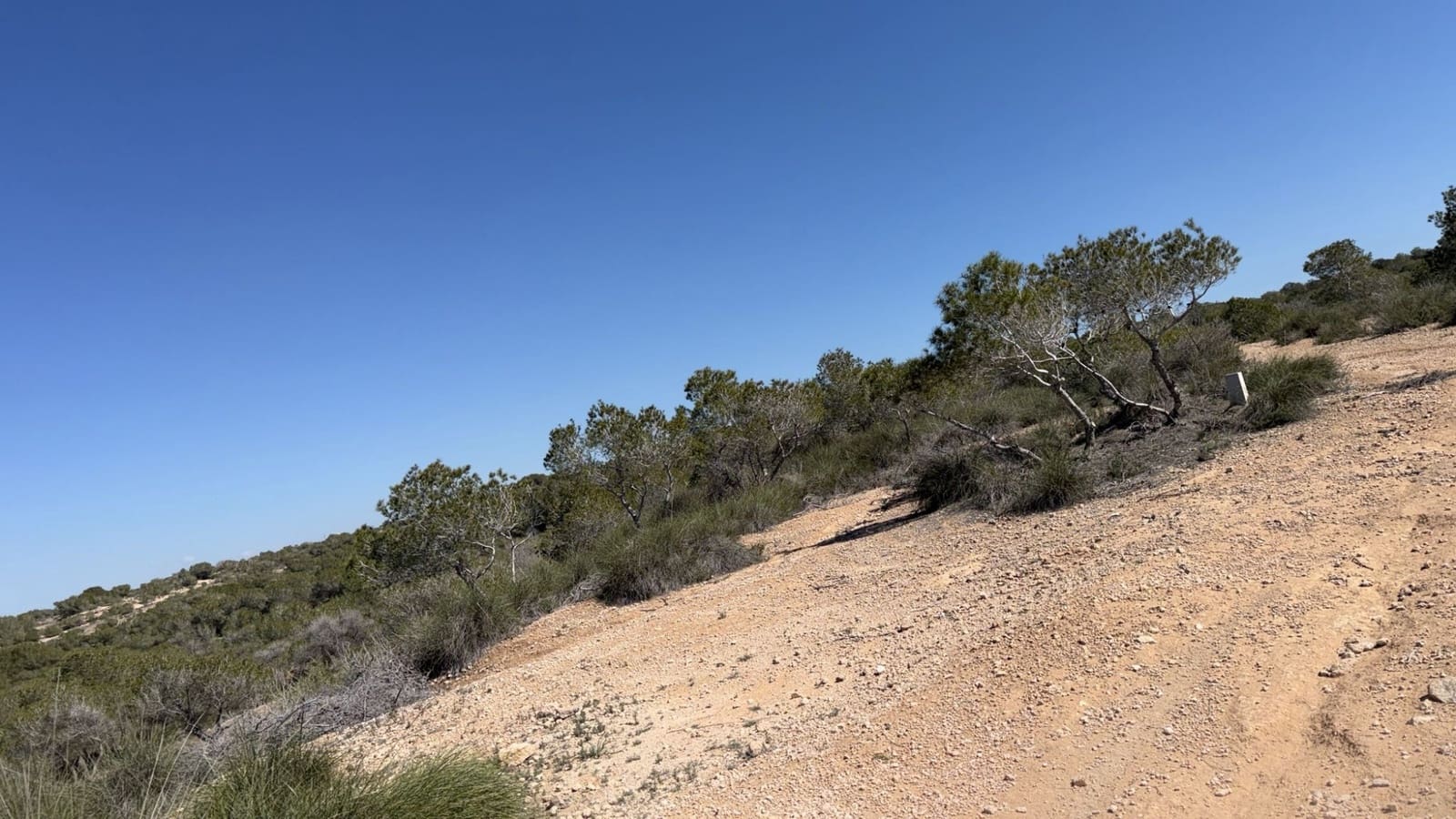 Terreno para Construção para venda em San Fulgencio - 185 000 € (Ref: 10088203)