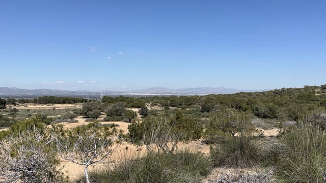 Terreno para Construção para venda em San Fulgencio - 185 000 € (Ref: 10088203)