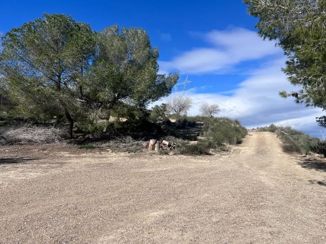 2 sypialnia Finka/Dom wiejski na sprzedaż w Torremendo, Orihuela z basenem - 175 000 € (Ref: 10096980)