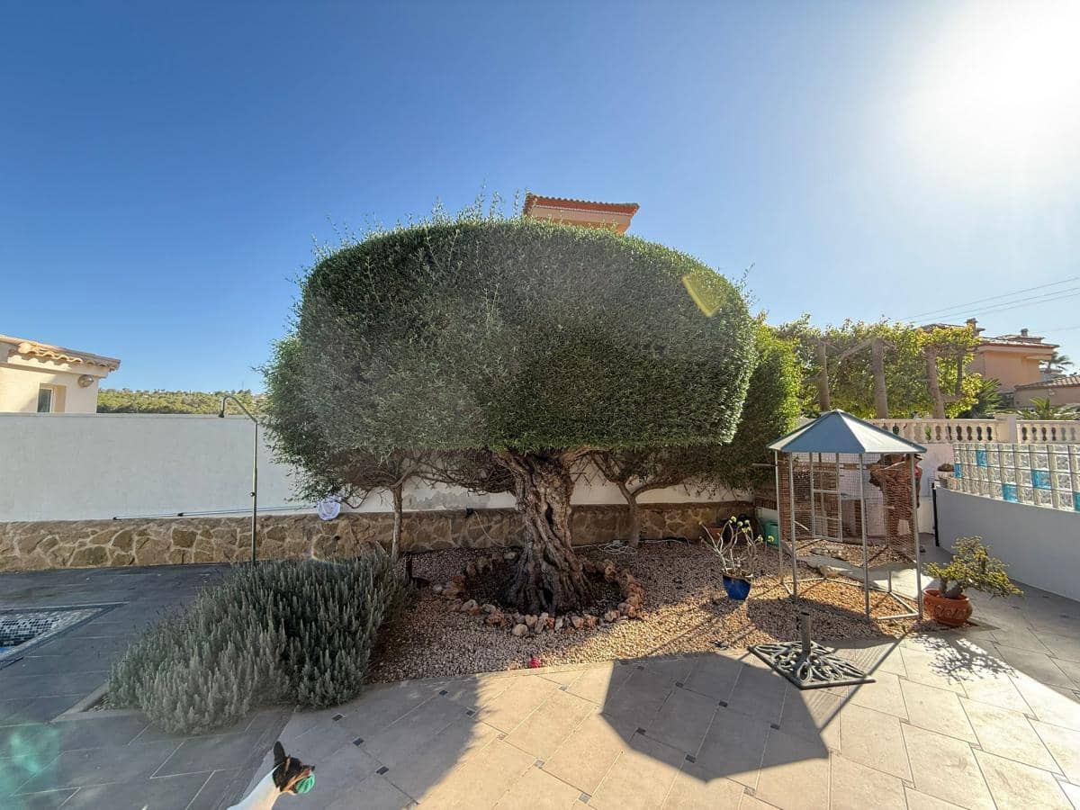 3 camera da letto Villa in vendita in San Miguel de Salinas con piscina garage - 525.000 € (Rif: 9308117)
