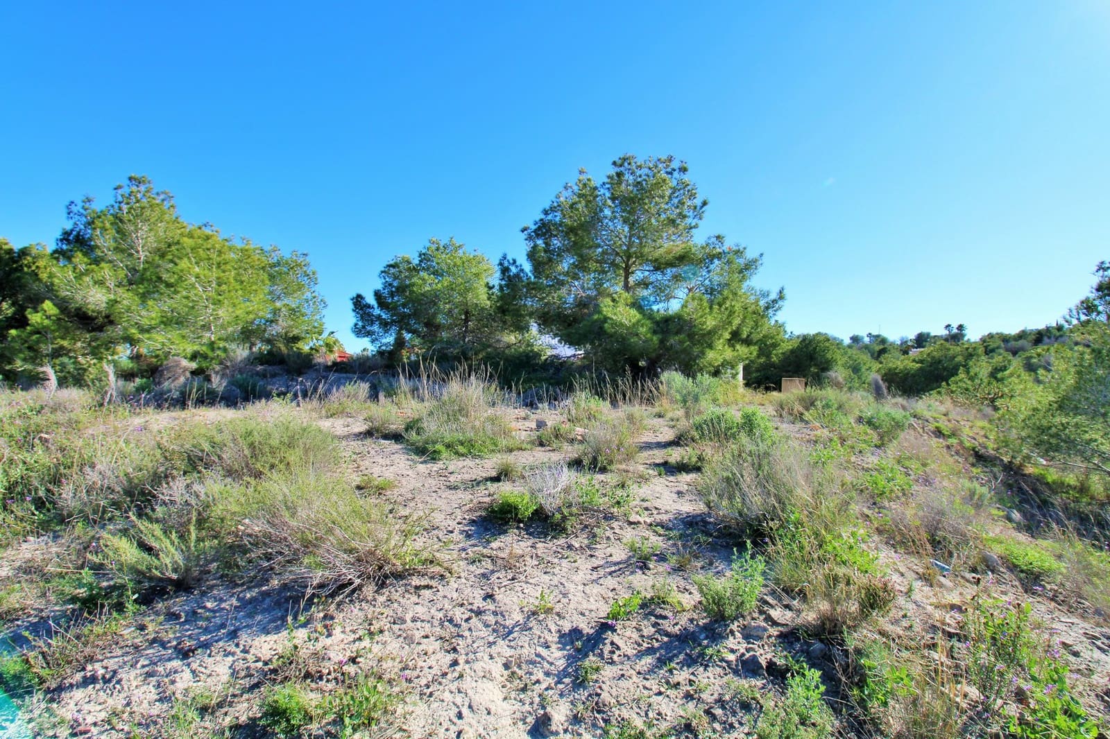 Tontti myytävänä paikassa San Miguel de Salinas - 55 600 € (Ref: 9563582)