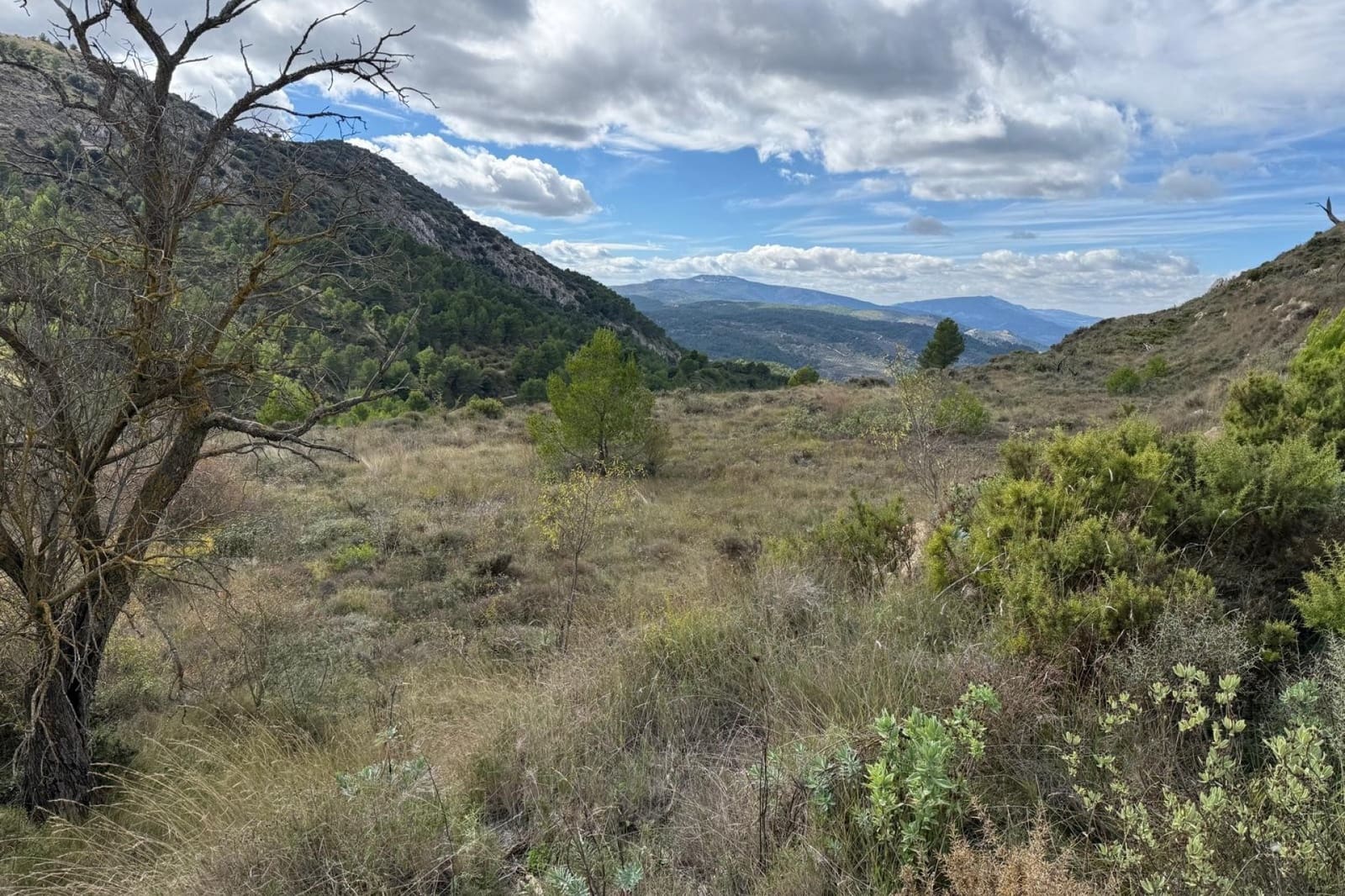 Solar/Parcela en Confrides en venta - 40.000 € (Ref: 9577992)