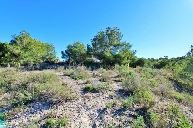 Byggetomt til salgs i San Miguel de Salinas - € 55 600 (Ref: 9692877)