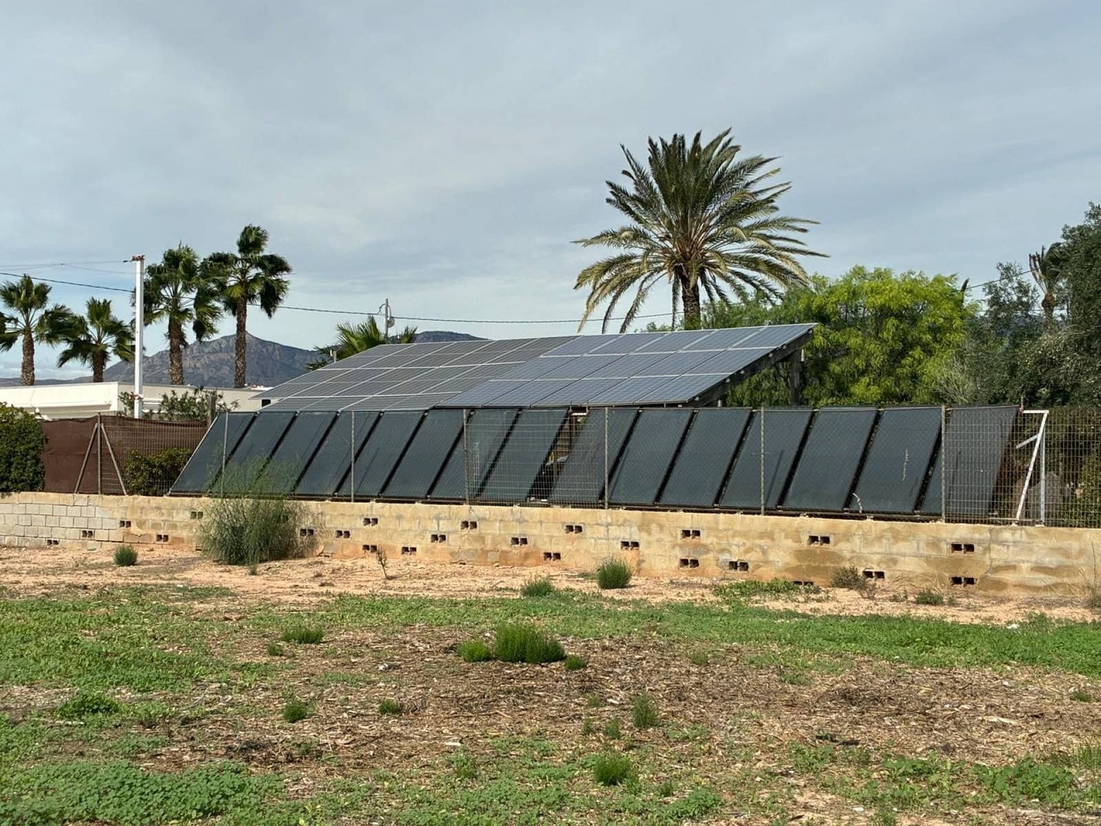 5 slaapkamer Villa te koop in Crevillente / Crevillent met garage - € 465.000 (Ref: 9753804)