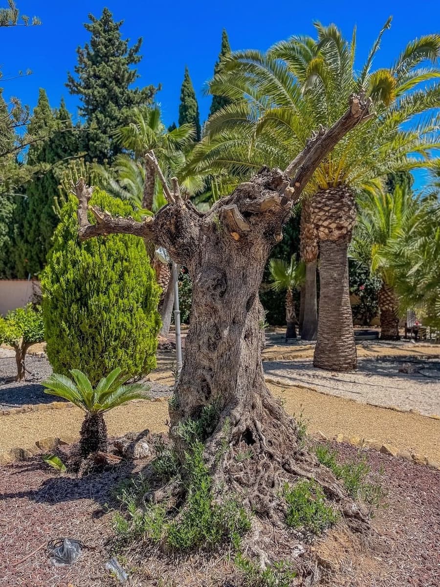 5 Zimmer Villa zu verkaufen in La Nucia mit Pool Garage - 695.000 € (Ref: 8421010)