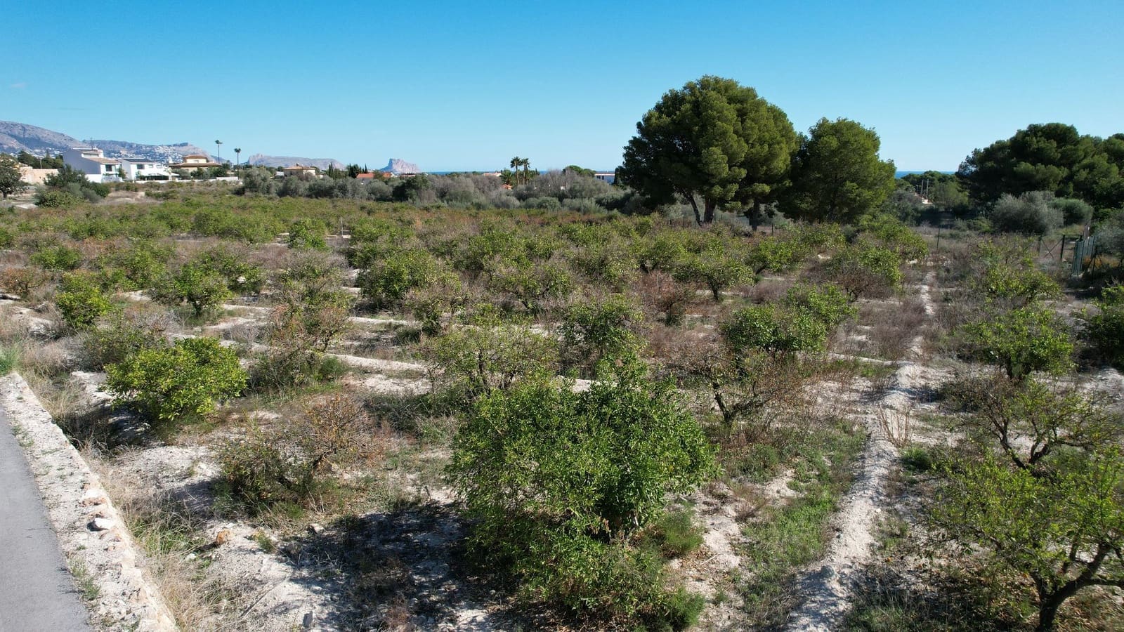 Finca/Herregård til salgs i Alfaz del Pi / L'Alfas del Pi - € 350 000 (Ref: 9374958)