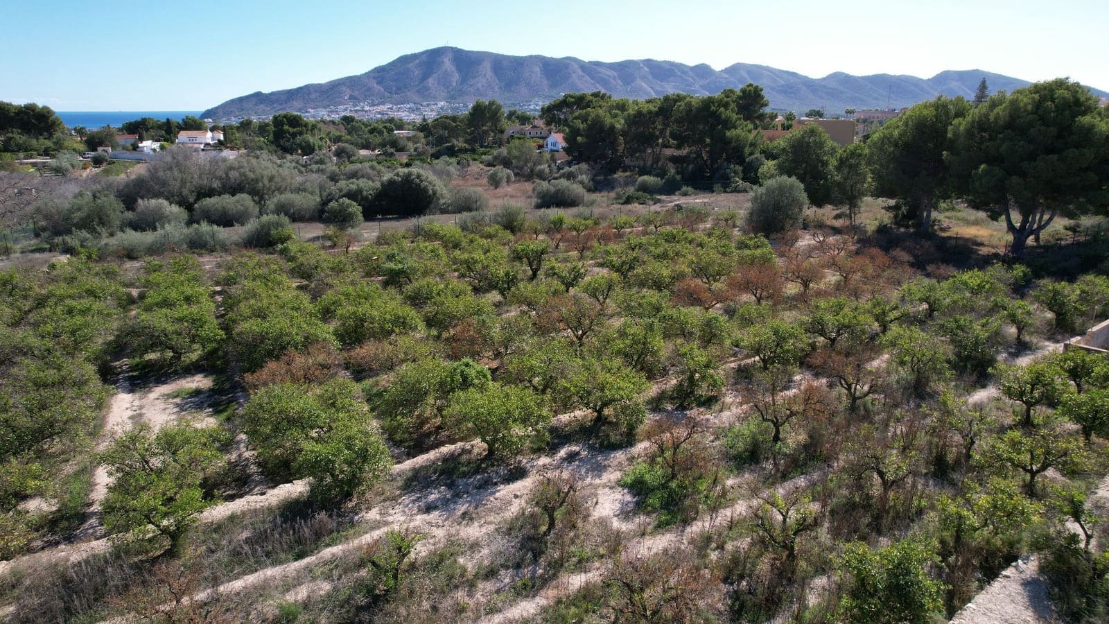 Finca/Herregård til salgs i Alfaz del Pi / L'Alfas del Pi - € 350 000 (Ref: 9374958)