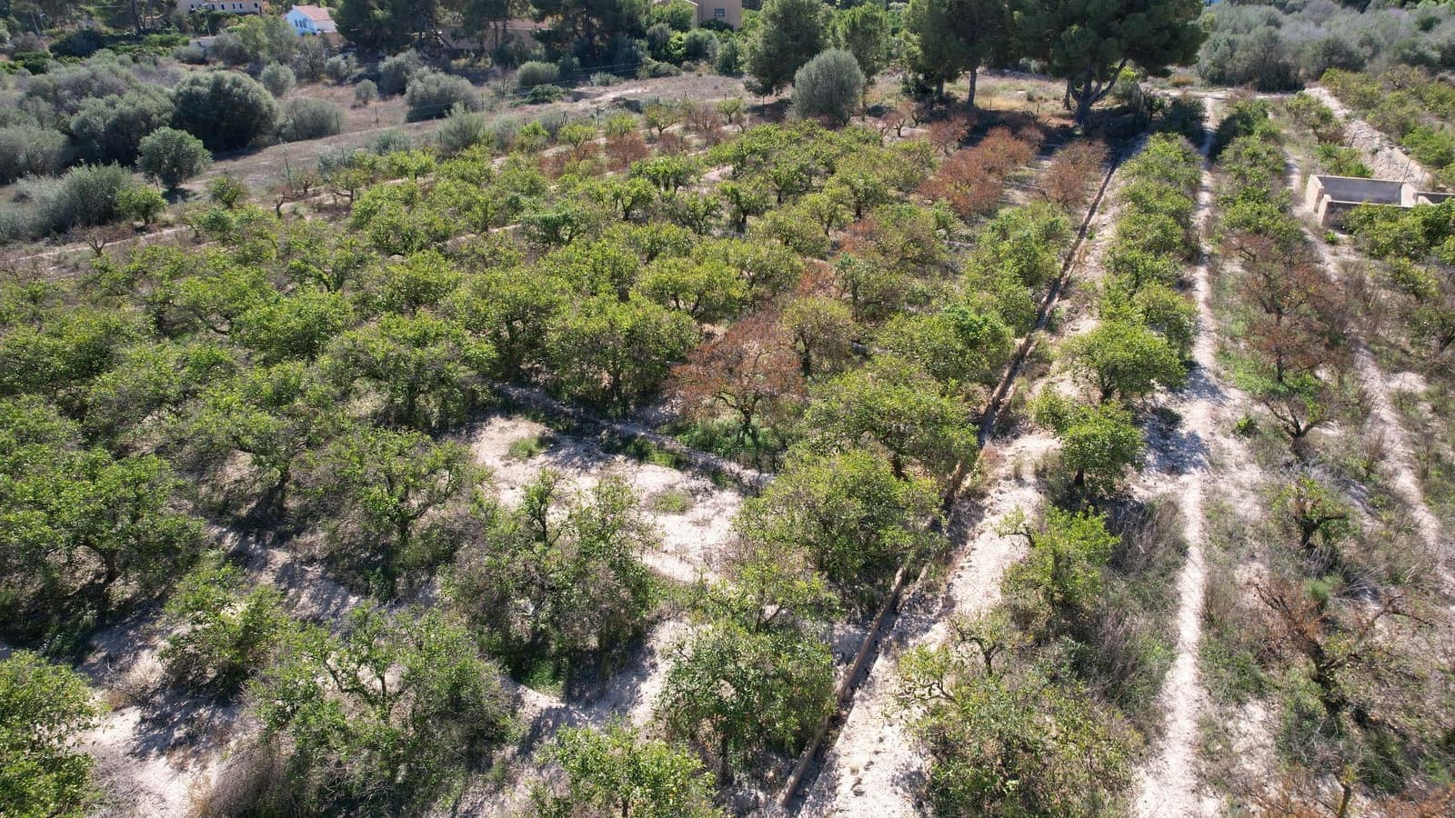 Finca/Herregård til salgs i Alfaz del Pi / L'Alfas del Pi - € 350 000 (Ref: 9374958)