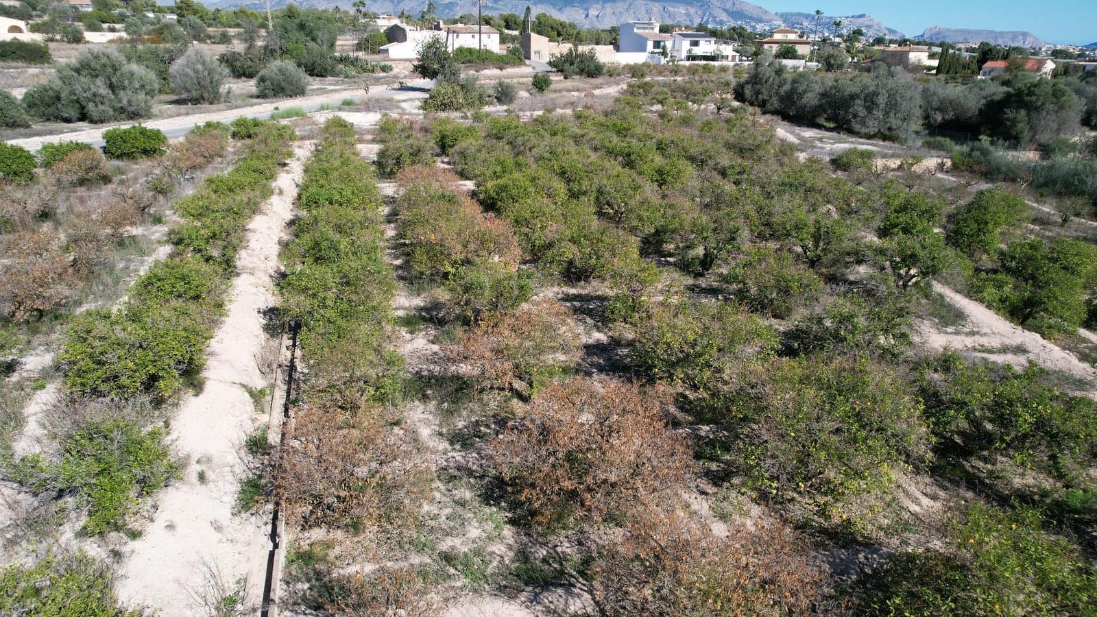 Finca/Herregård til salgs i Alfaz del Pi / L'Alfas del Pi - € 350 000 (Ref: 9374958)