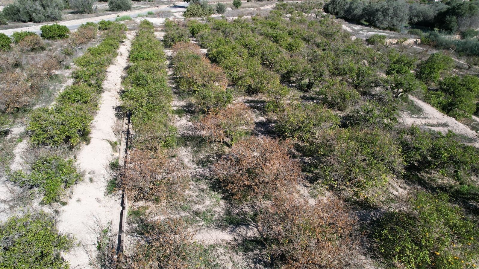 Finca/Herregård til salgs i Alfaz del Pi / L'Alfas del Pi - € 350 000 (Ref: 9374958)