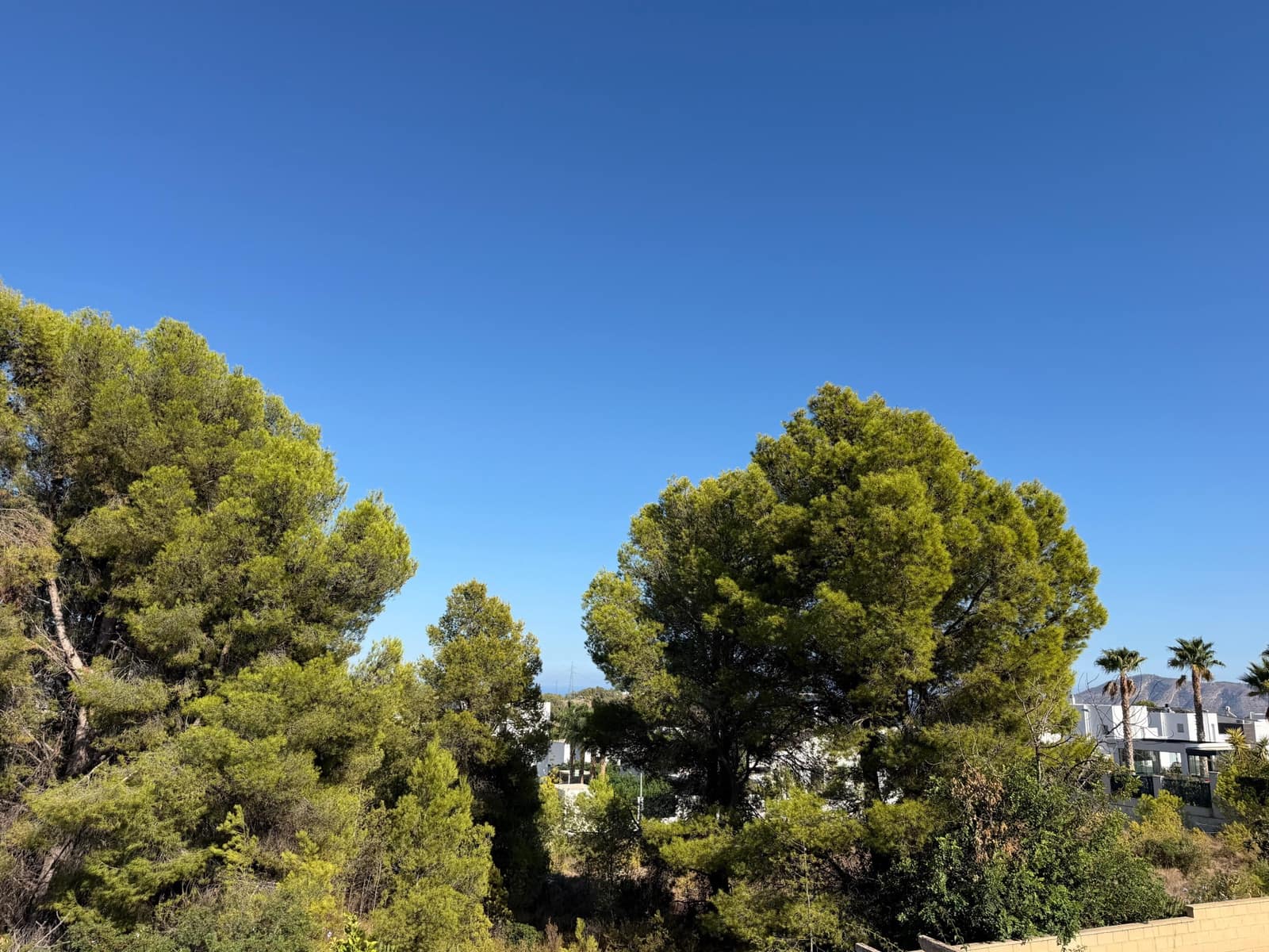2 bedroom Bungalow for rent in Polop with pool - € 850 (Ref: 10115664)