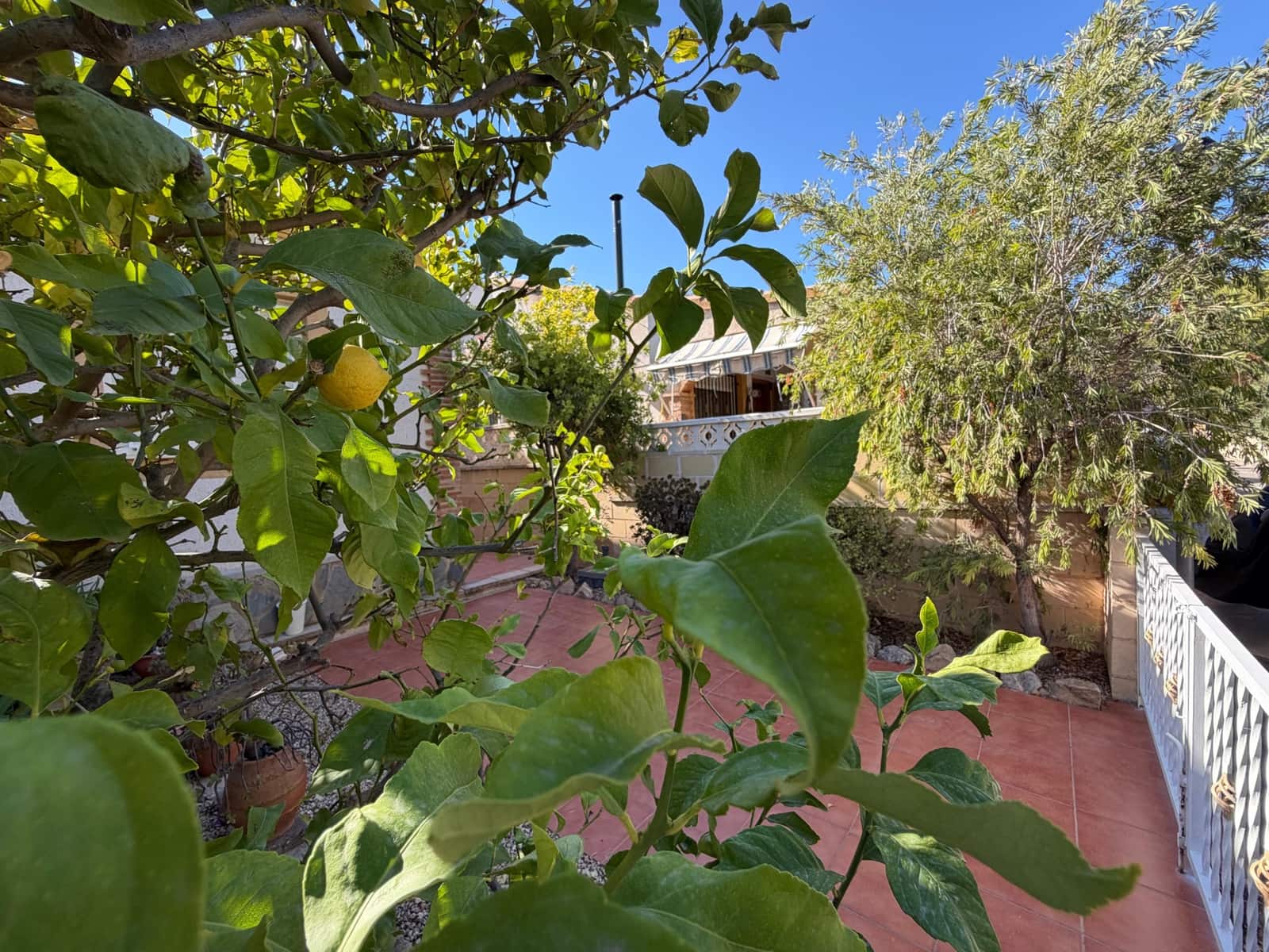 2 bedroom Bungalow for rent in Polop with pool - € 850 (Ref: 10115664)