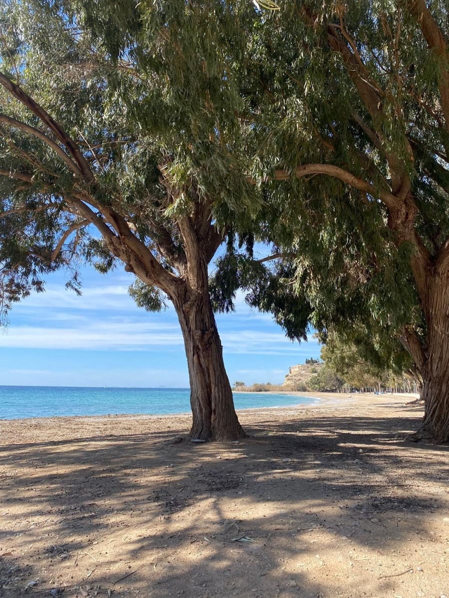 4 camera da letto Villa in vendita in La Villajoyosa / Vila Joiosa con piscina garage - 675.000 € (Rif: 9297079)