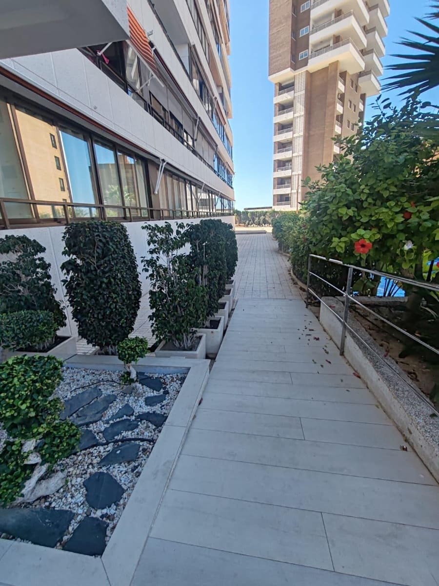 1 bedroom Apartment for rent in Benidorm with pool - € 900 (Ref: 9446626)