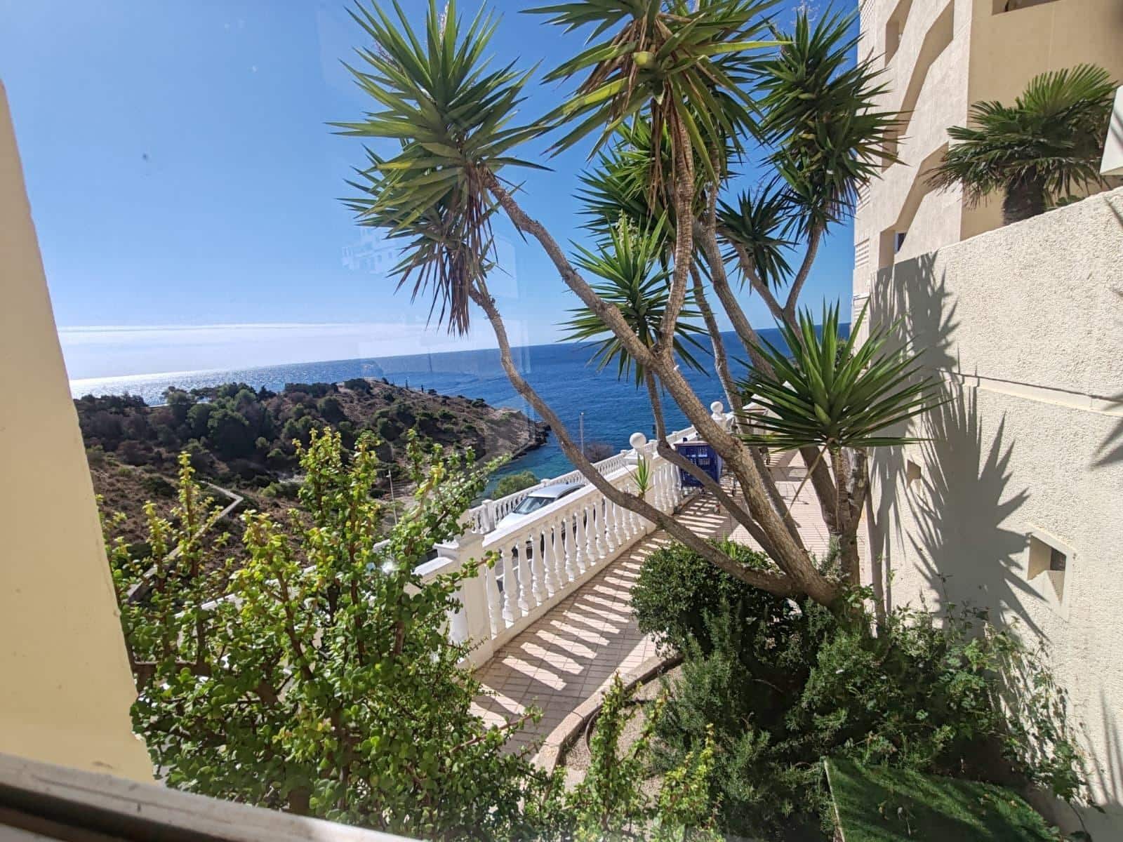 1 bedroom Apartment for rent in Benidorm with pool - € 900 (Ref: 9446626)