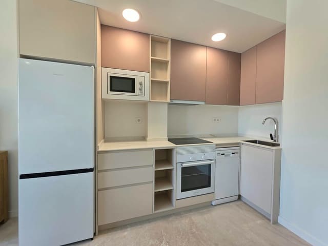 Piso de 1 habitación en Barrio del Centro, Alicante / Alacant ciudad en alquiler - 1.100 € (Ref: 10085467)