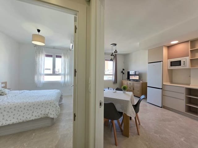 Piso de 1 habitación en Barrio del Centro, Alicante / Alacant ciudad en alquiler - 1.100 € (Ref: 10085467)