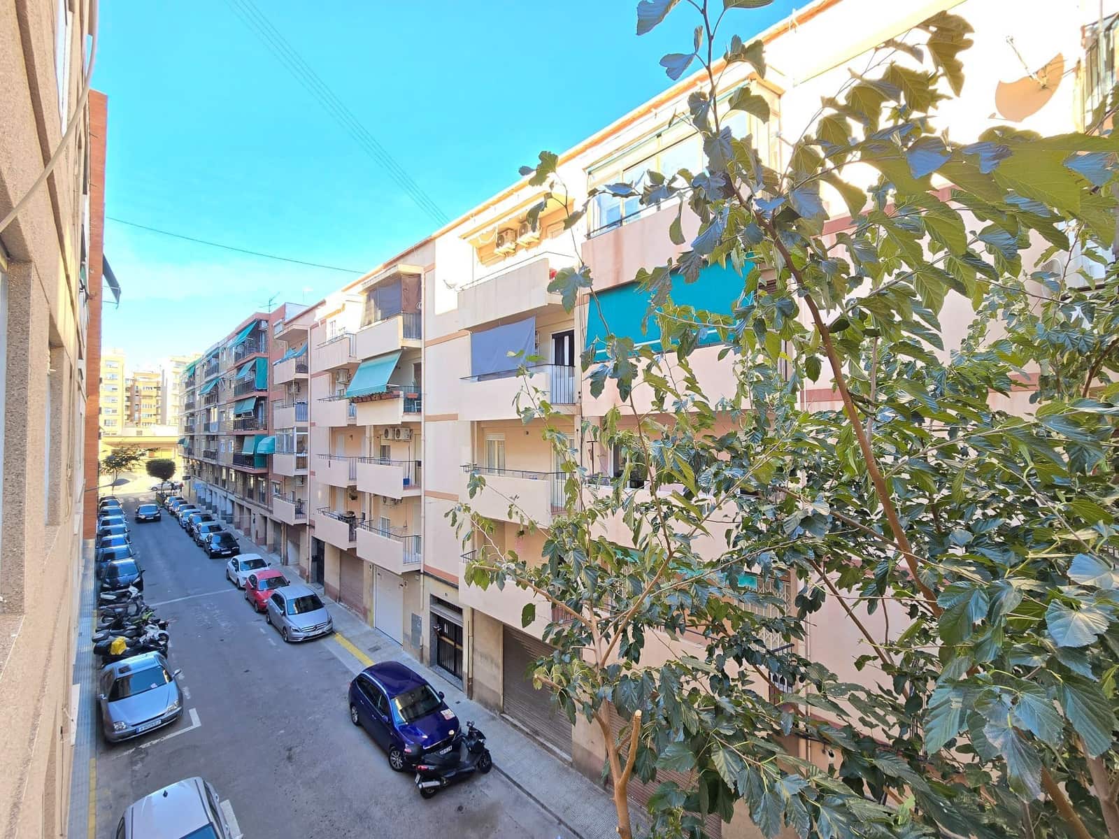 3 bedroom Flat for rent in Alicante / Alacant city - € 1,000 (Ref: 9421866)