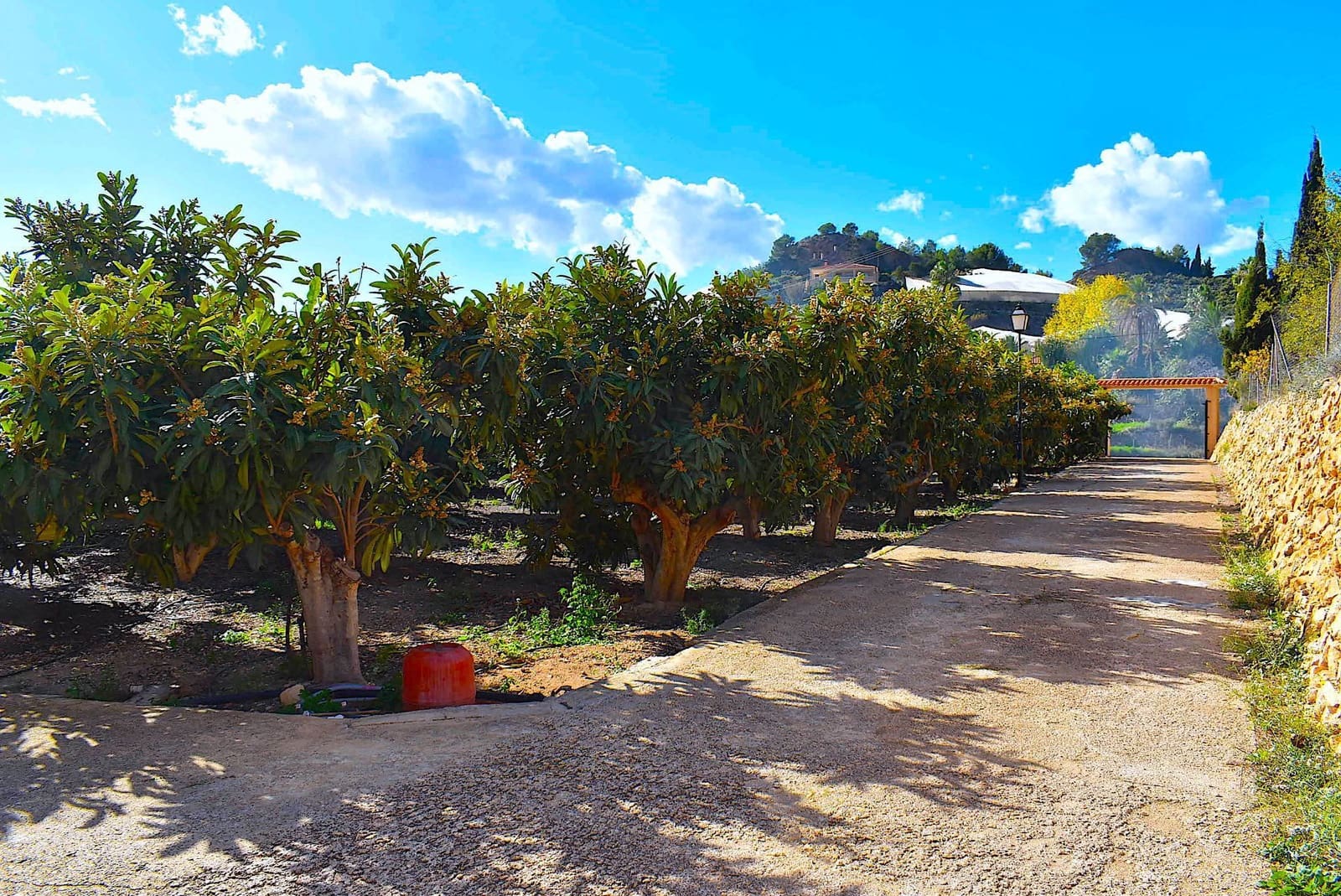 5 soveværelse Finca/Landehus til salg i Callosa d'En Sarria med swimmingpool garage - € 450.000 (Ref: 9424303)