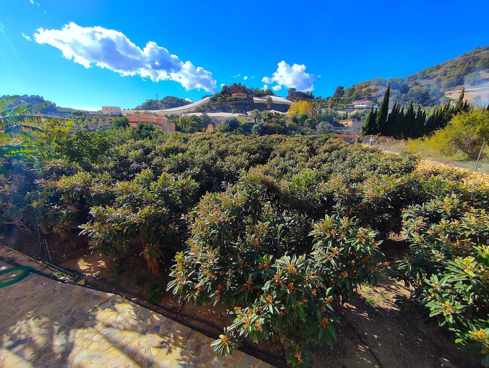 5 soveværelse Finca/Landehus til salg i Callosa d'En Sarria med swimmingpool garage - € 450.000 (Ref: 9424303)