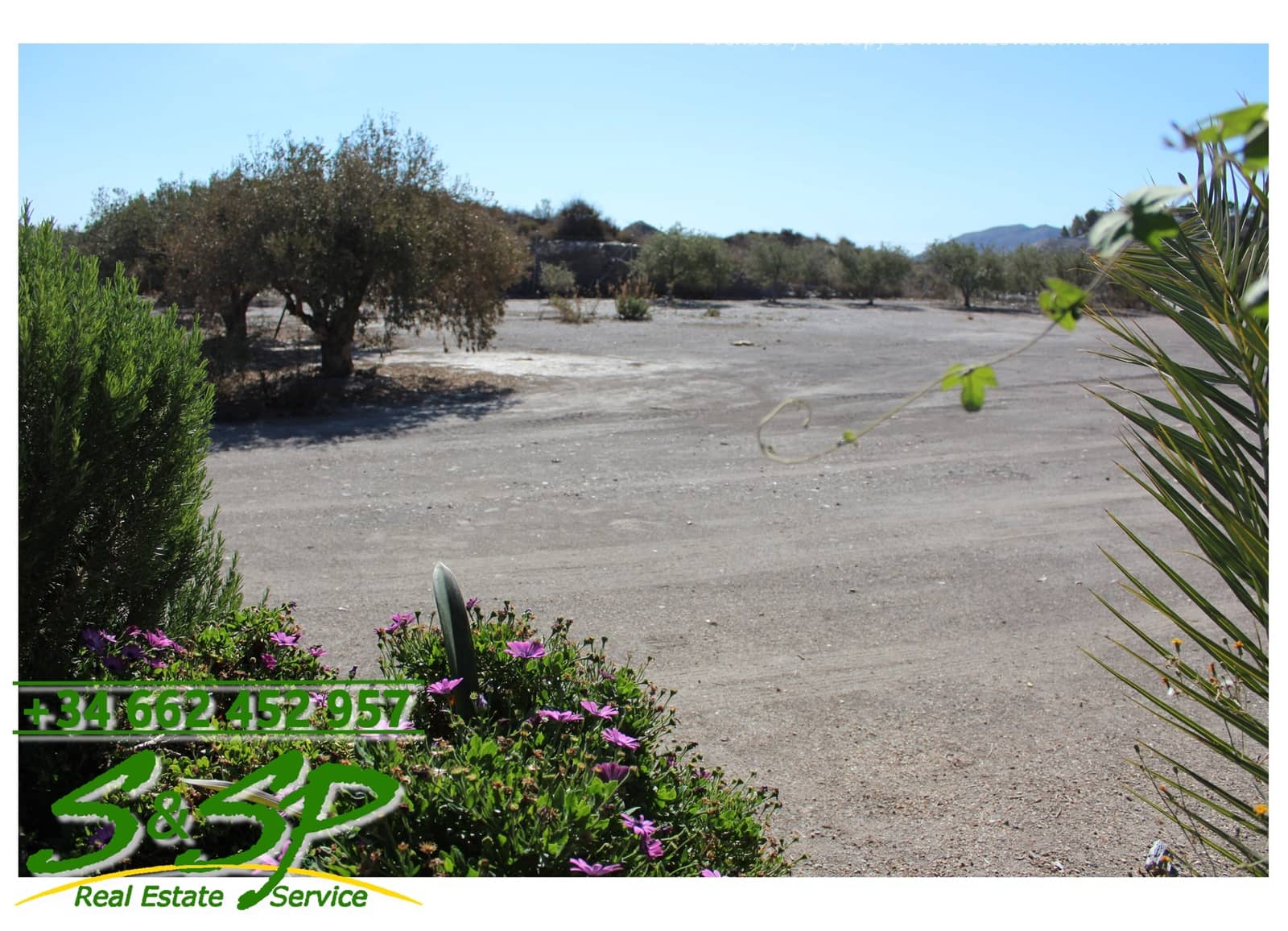 5 sypialnia Finka/Dom wiejski na sprzedaż w Calabardina z garażem - 360 000 € (Ref: 8305926)