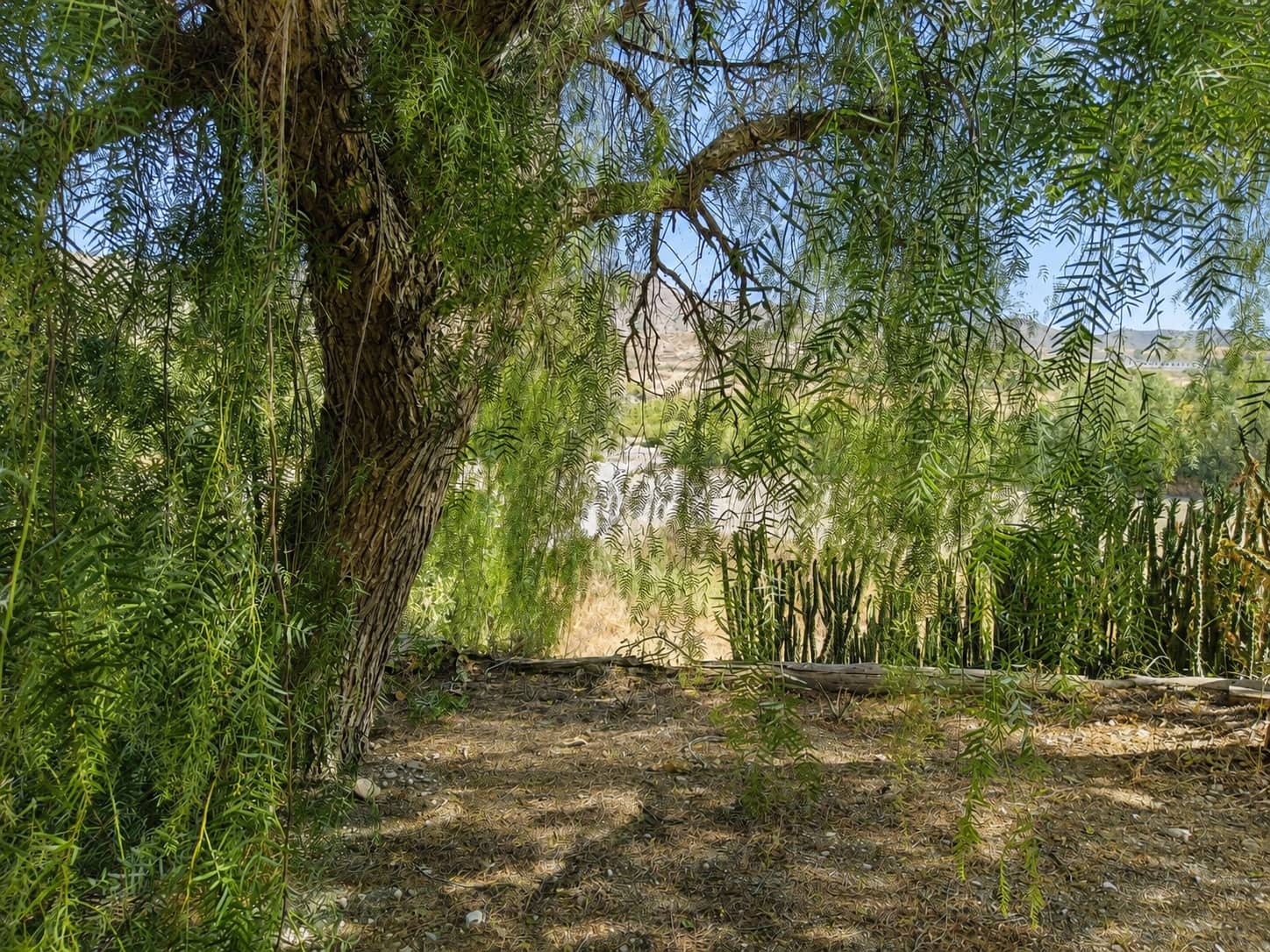 3 slaapkamer Finca/Landhuis te koop in Lorca met zwembad garage - € 165.000 (Ref: 9975791)