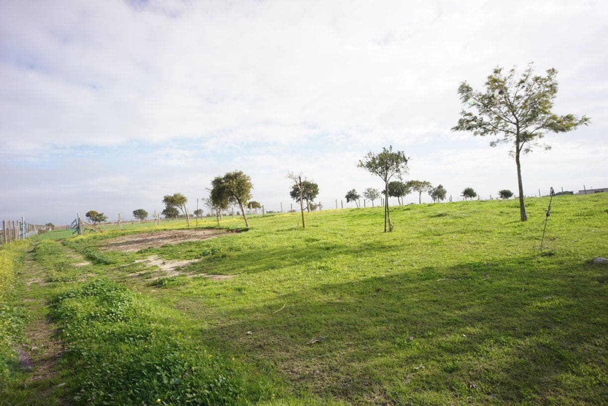 1 soverom Finca/Herregård til salgs i Rota med garasje - € 650 000 (Ref: 5014759)