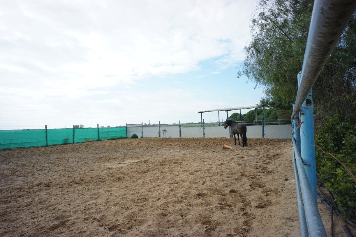 1 soverom Finca/Herregård til salgs i Rota med garasje - € 650 000 (Ref: 5014759)