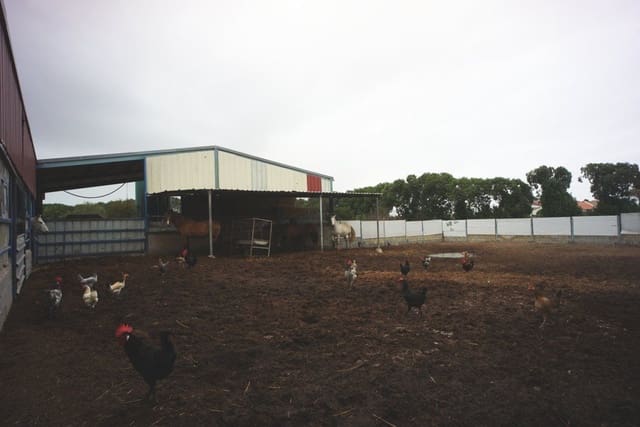 1 soveværelse Finca/Landehus til salg i Rota med garage - € 650.000 (Ref: 5014759)