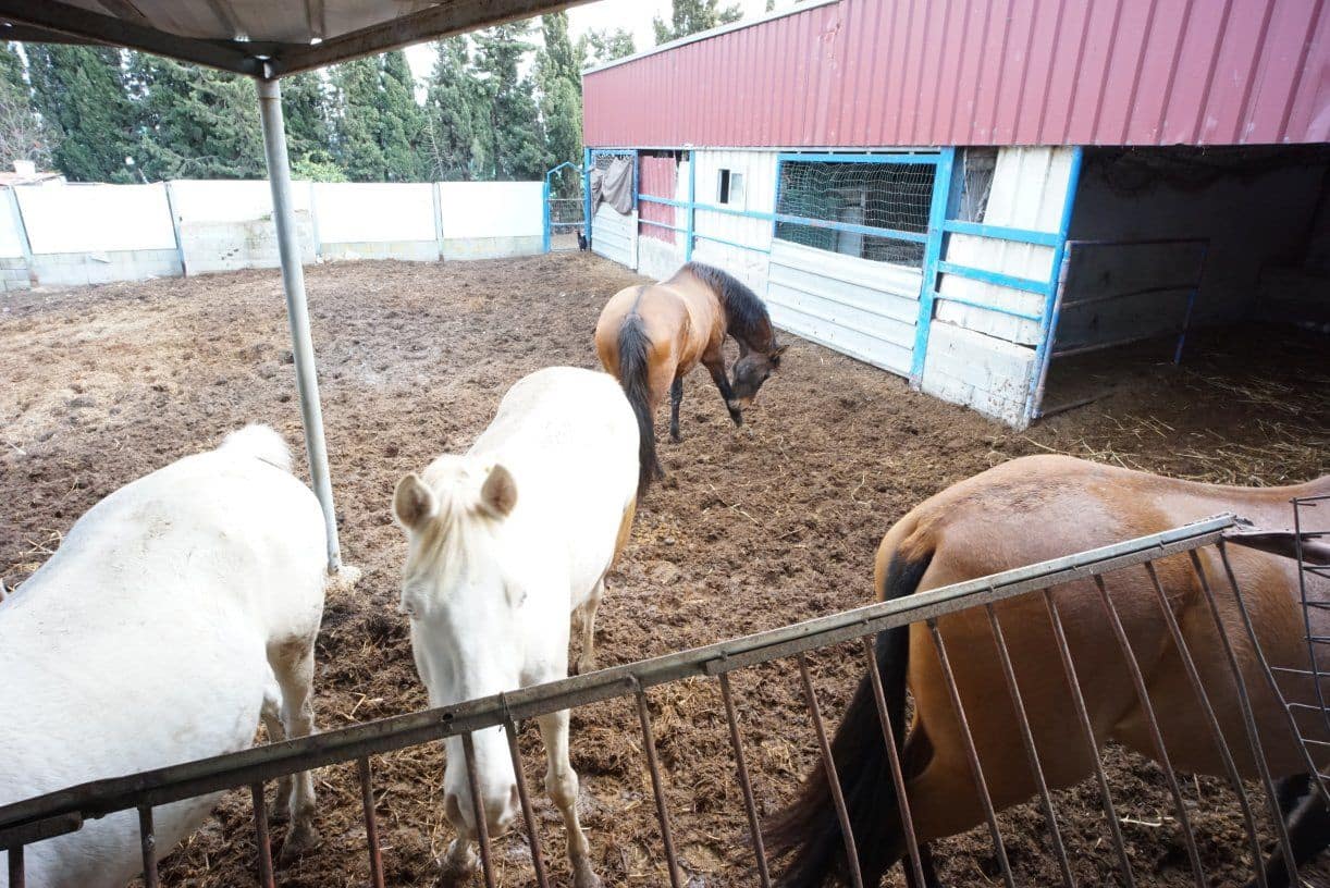 1 soverom Finca/Herregård til salgs i Rota med garasje - € 650 000 (Ref: 5014759)