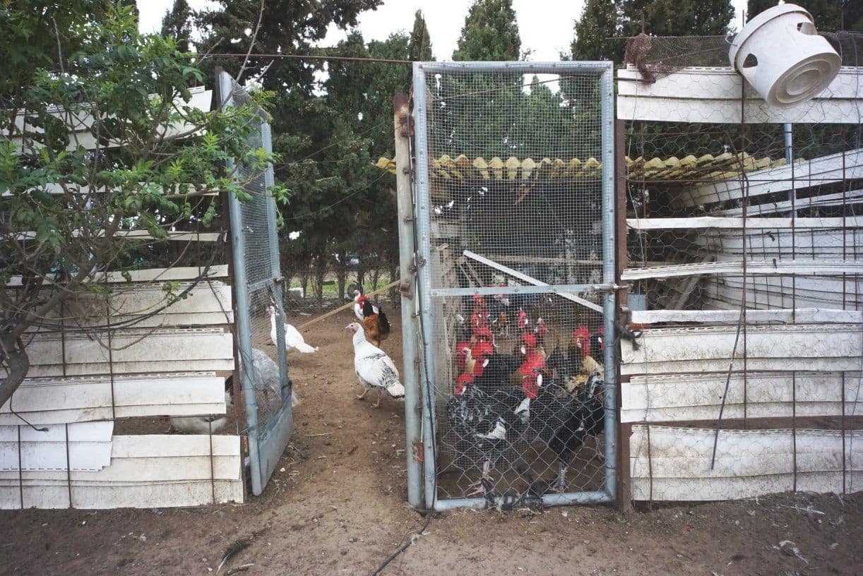 1 soverom Finca/Herregård til salgs i Rota med garasje - € 650 000 (Ref: 5014759)