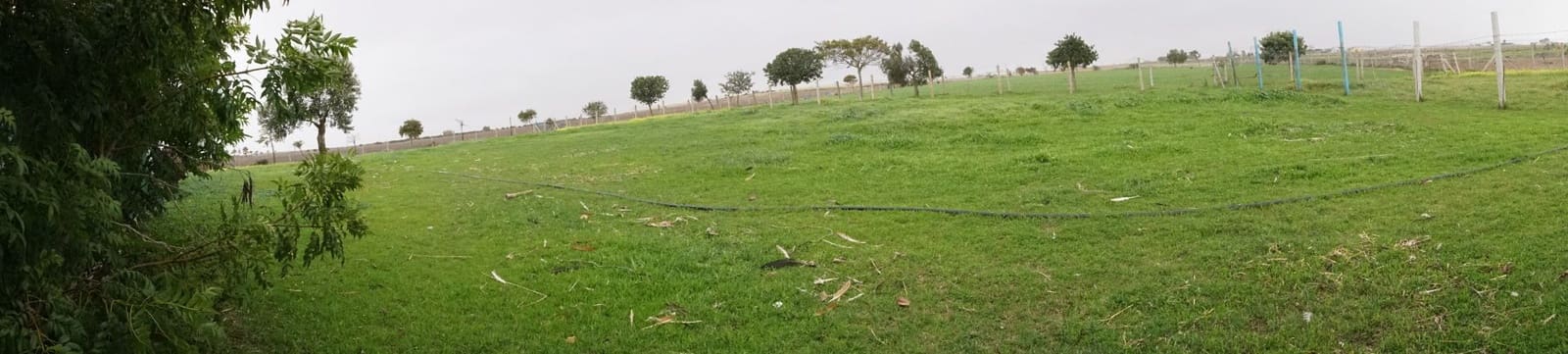 1 soverom Finca/Herregård til salgs i Rota med garasje - € 650 000 (Ref: 5014759)