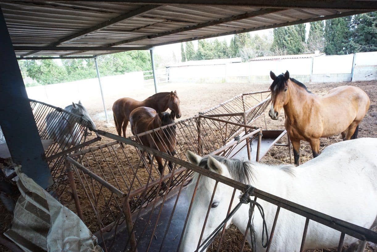 1 soverom Finca/Herregård til salgs i Rota med garasje - € 650 000 (Ref: 5014759)