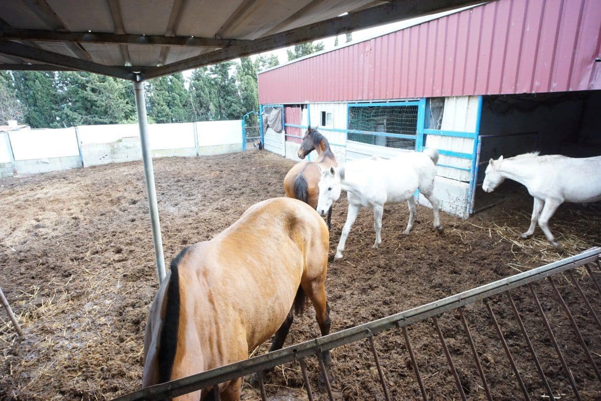 1 soverom Finca/Herregård til salgs i Rota med garasje - € 650 000 (Ref: 5014759)