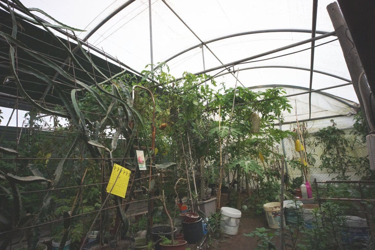 1 soverom Finca/Herregård til salgs i Rota med garasje - € 650 000 (Ref: 5014759)