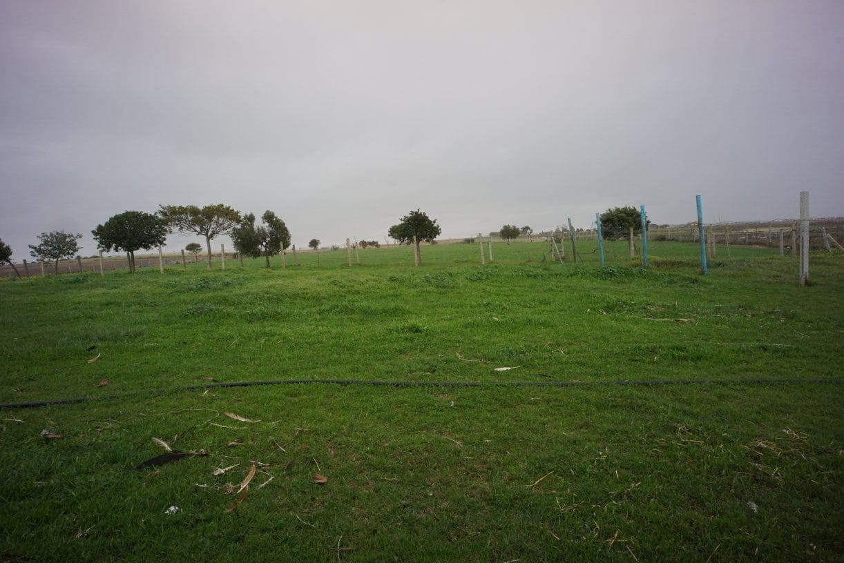 1 soverom Finca/Herregård til salgs i Rota med garasje - € 650 000 (Ref: 5014759)