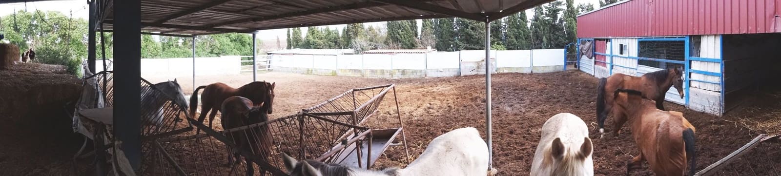 1 soverom Finca/Herregård til salgs i Rota med garasje - € 650 000 (Ref: 5014759)