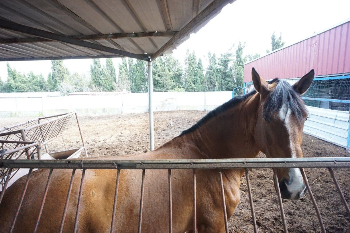 1 soverom Finca/Herregård til salgs i Rota med garasje - € 650 000 (Ref: 5014759)