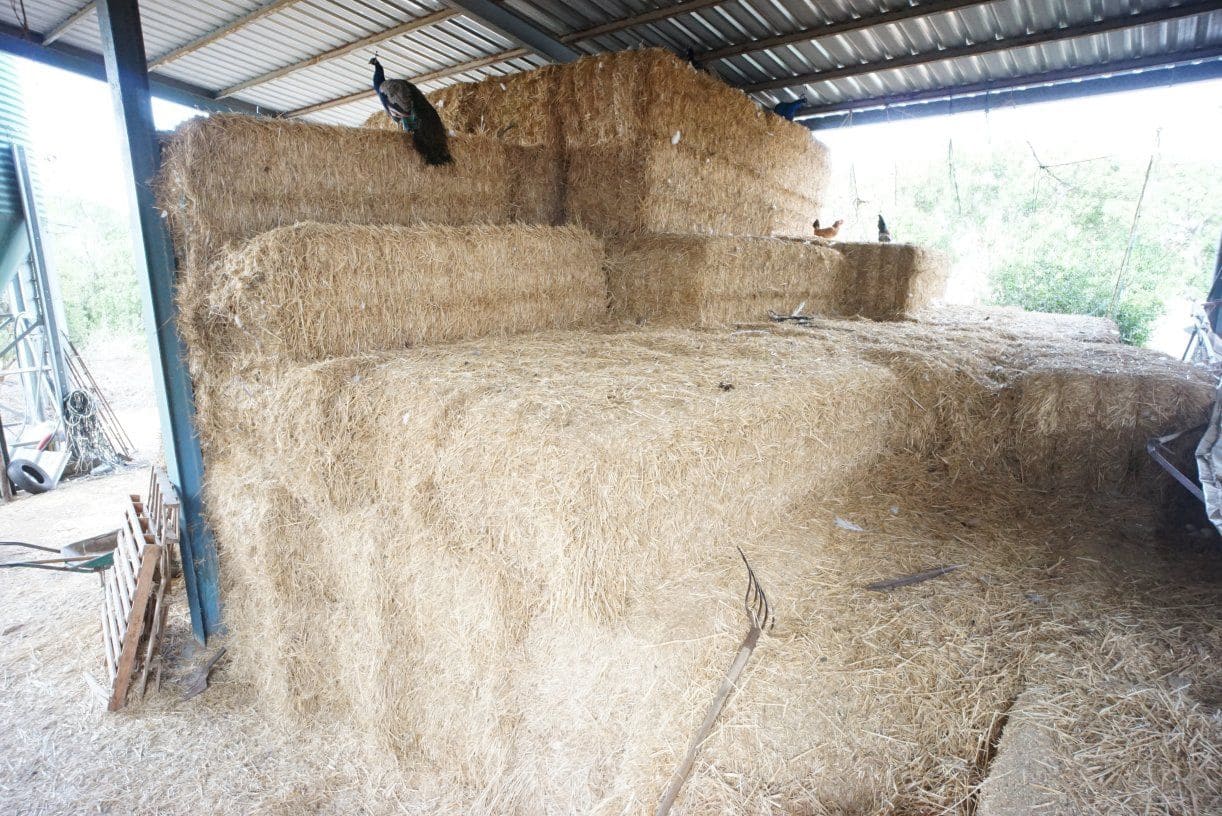 1 soverom Finca/Herregård til salgs i Rota med garasje - € 650 000 (Ref: 5014759)