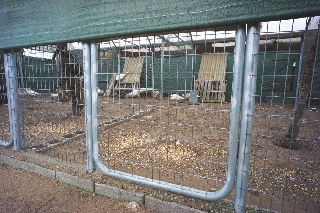 1 soverom Finca/Herregård til salgs i Rota med garasje - € 650 000 (Ref: 5014759)