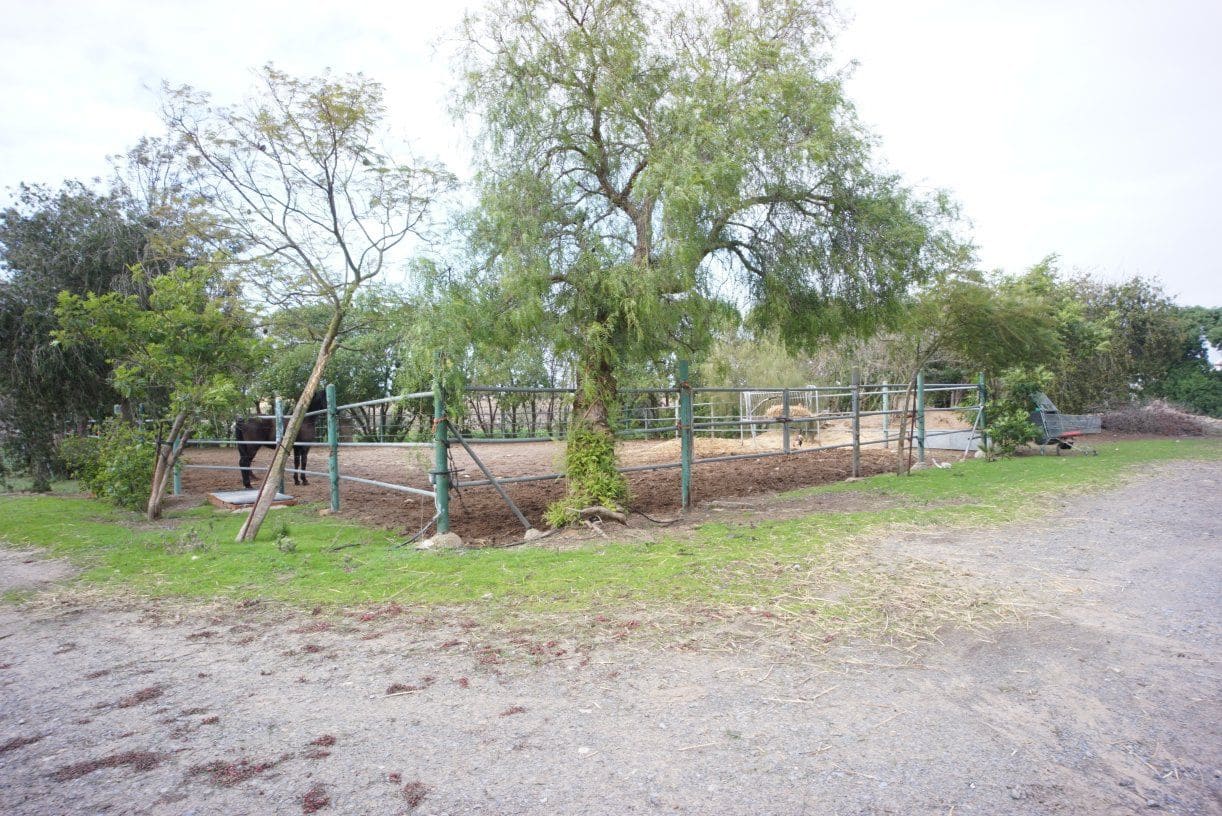 1 soverom Finca/Herregård til salgs i Rota med garasje - € 650 000 (Ref: 5014759)