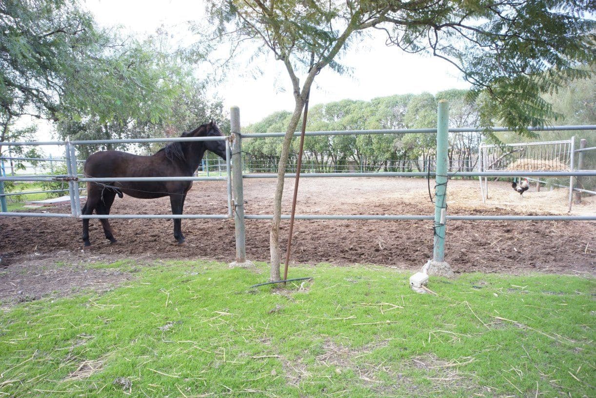 1 soverom Finca/Herregård til salgs i Rota med garasje - € 650 000 (Ref: 5014759)