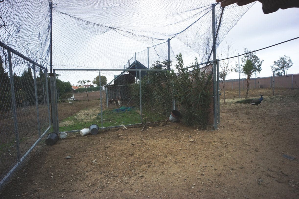 1 soverom Finca/Herregård til salgs i Rota med garasje - € 650 000 (Ref: 5014759)