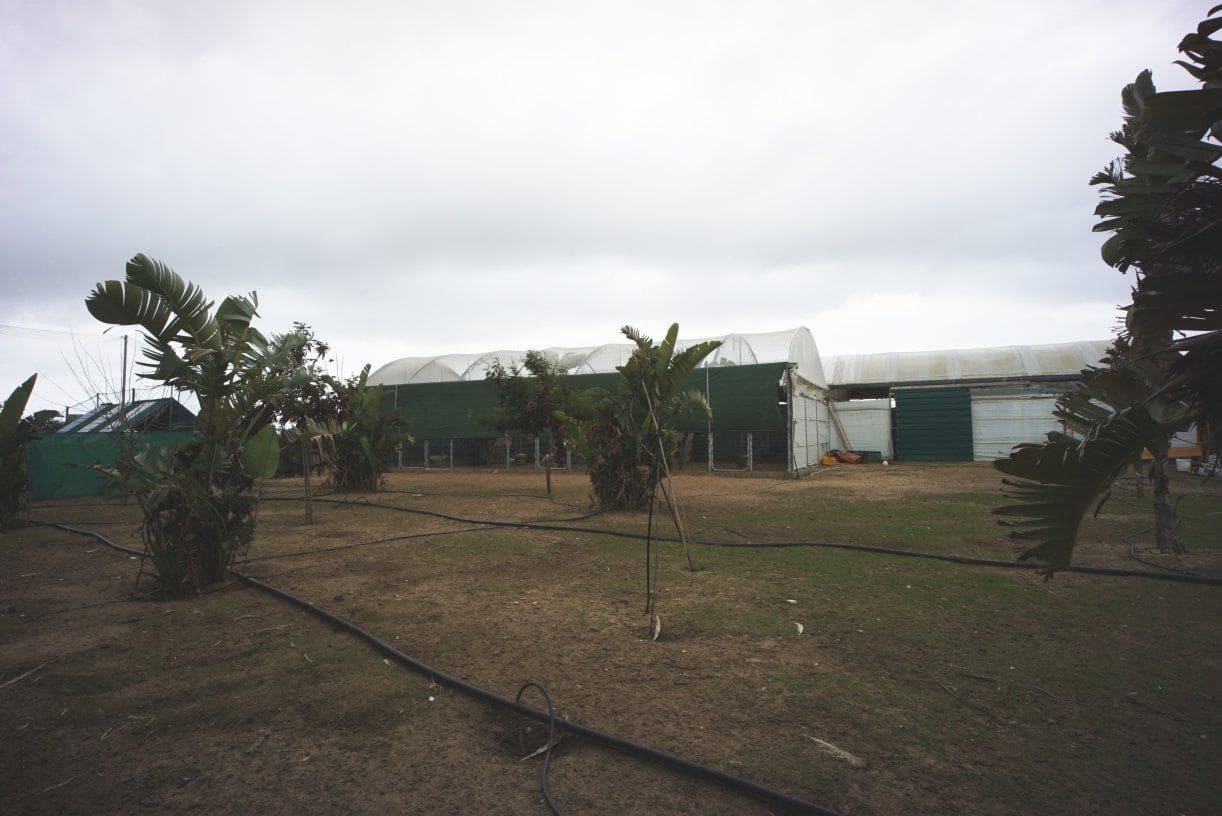 1 soverom Finca/Herregård til salgs i Rota med garasje - € 650 000 (Ref: 5014759)